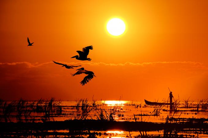 14. Le Delta du Danube, en Roumanie